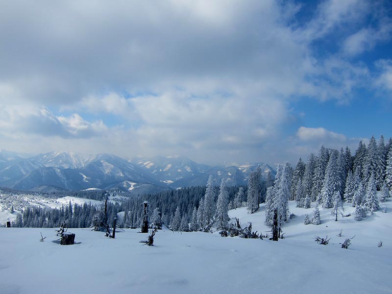 Kuhschneeberg